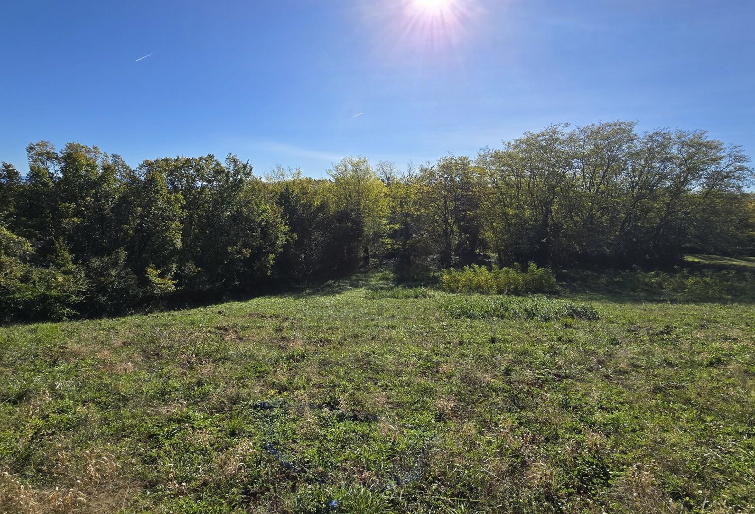TERRAIN CONSTRUCTIBLE 2700 m² — photo 1