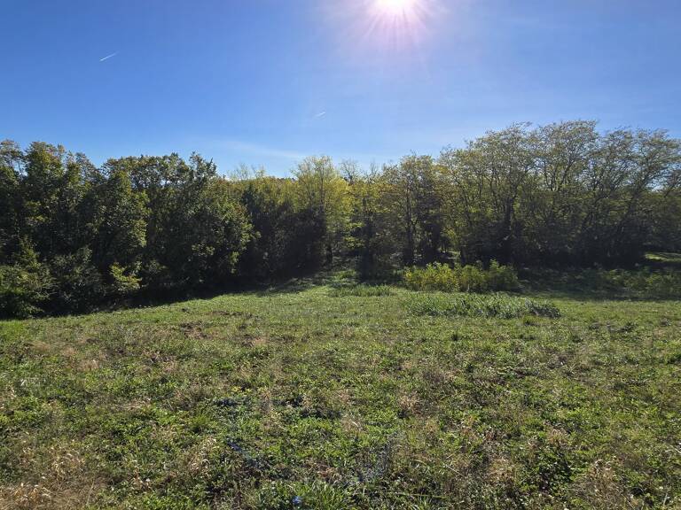 TERRAIN CONSTRUCTIBLE 2700 m² — photo 1