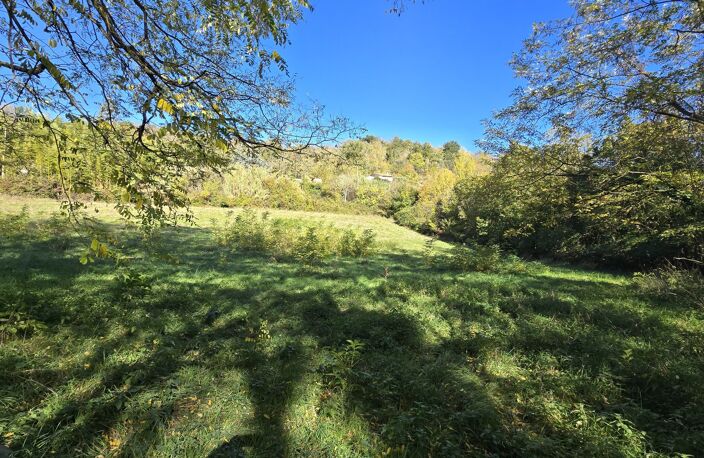 TERRAIN CONSTRUCTIBLE 2700 m² — photo 2