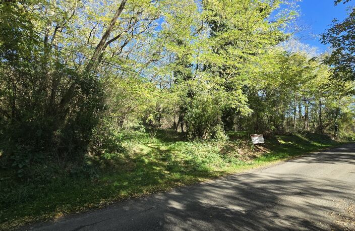TERRAIN CONSTRUCTIBLE 2700 m² — photo 4