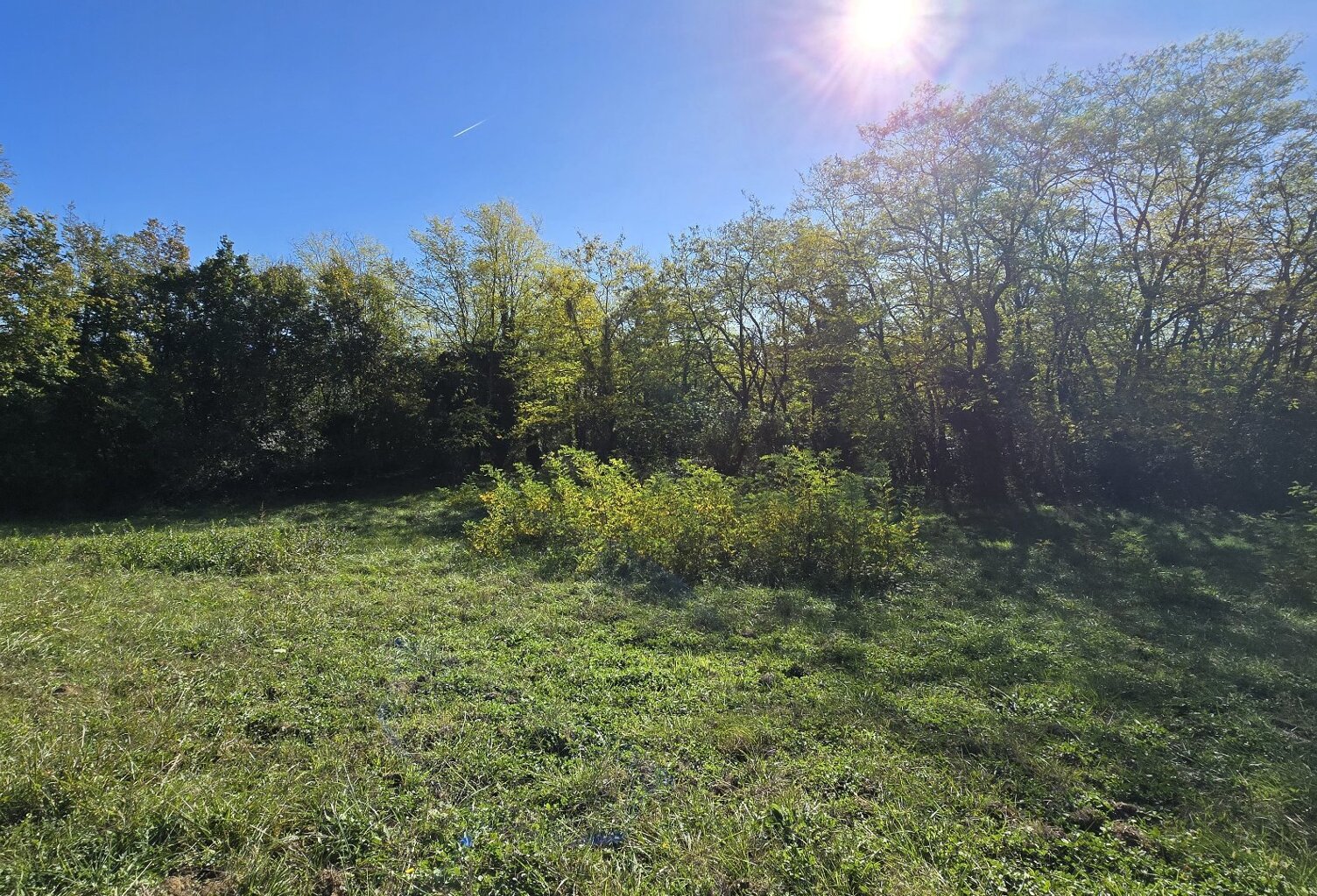 TERRAIN CONSTRUCTIBLE DE 2685 m² — photo 1