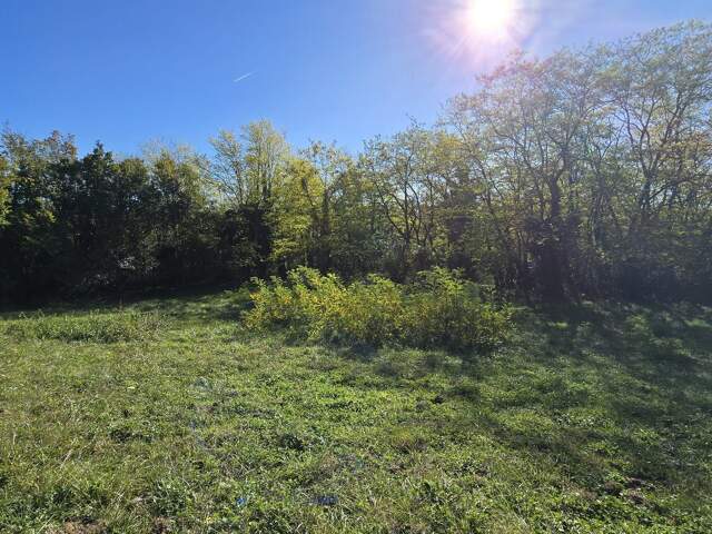 TERRAIN CONSTRUCTIBLE DE 2685 m² — photo du bien