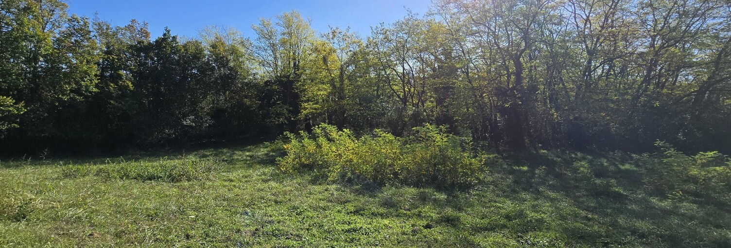 Terrain  2685 m² à vendre à Calmont (31560)