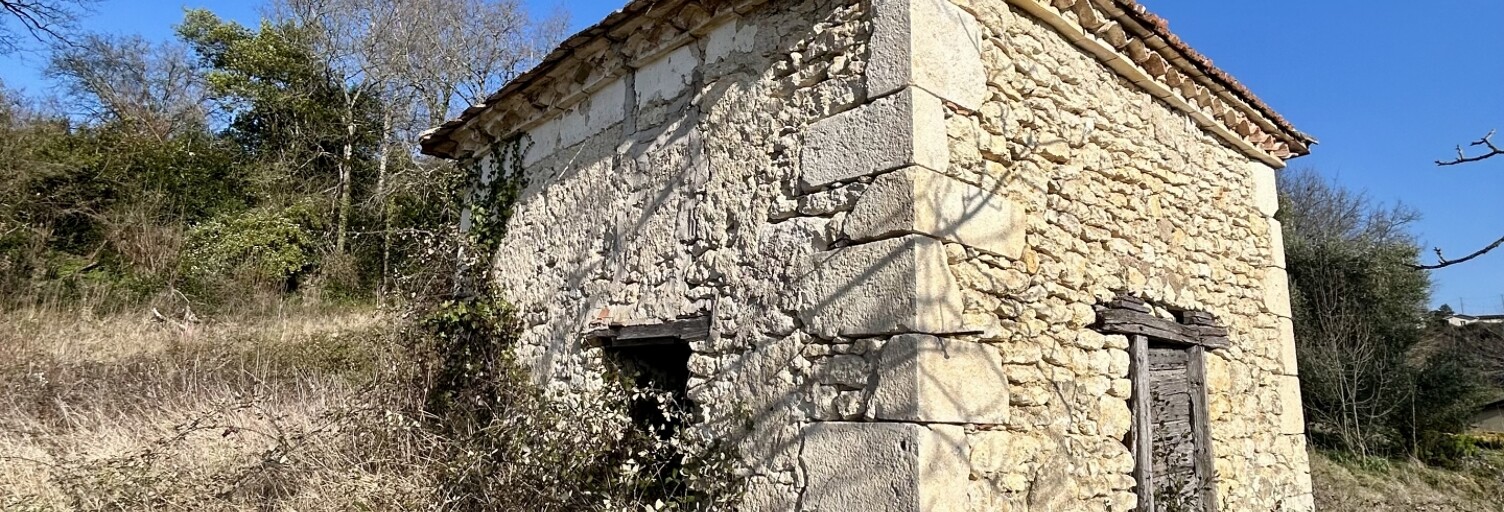 Terrain  10272 m² à vendre à Montpezat-de-Quercy (82270)