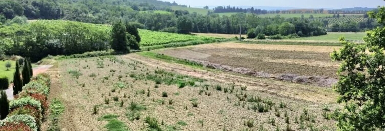 Terrain  1400 m² à vendre à Saint-Martin-de-Villereglan (11300)