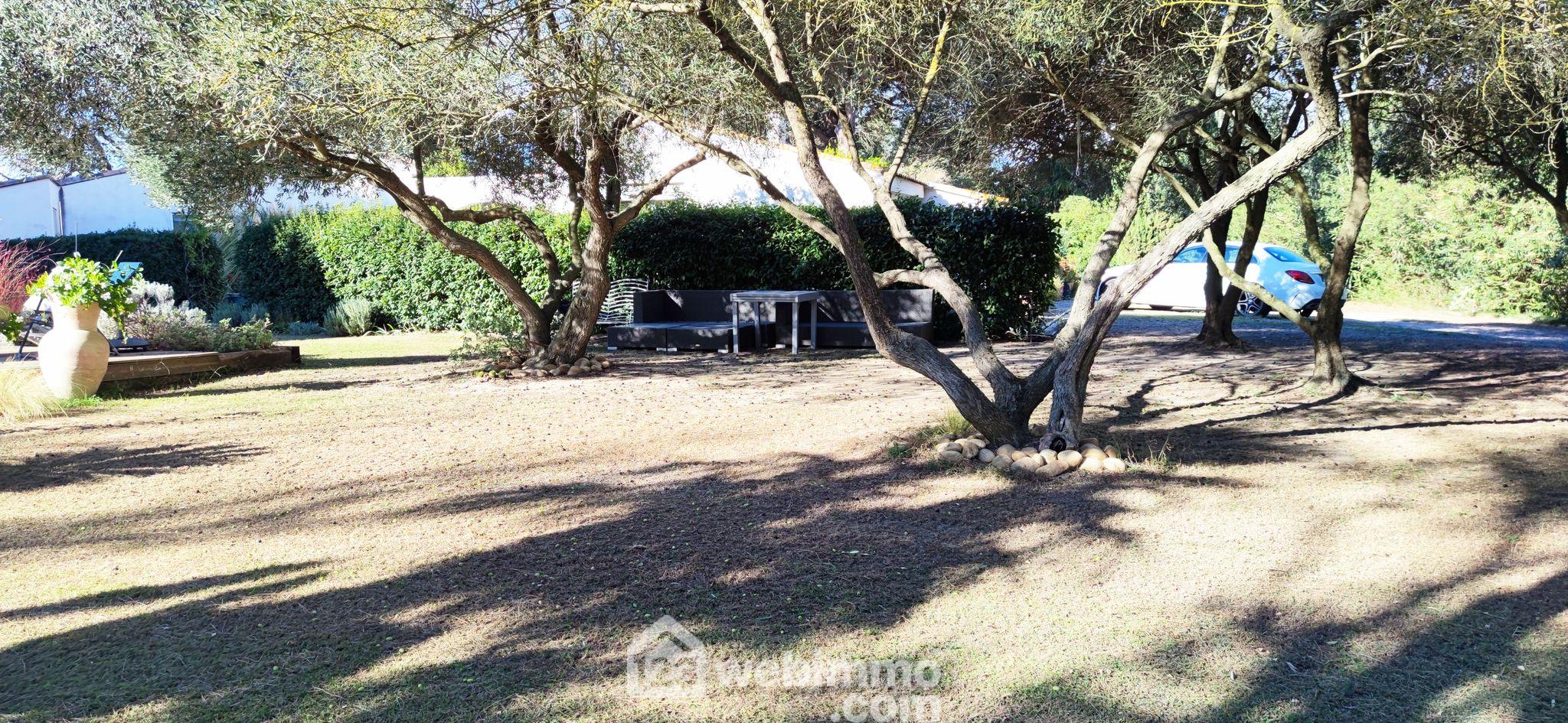 Photo Mas - 240m² - Vauvert image 2/4