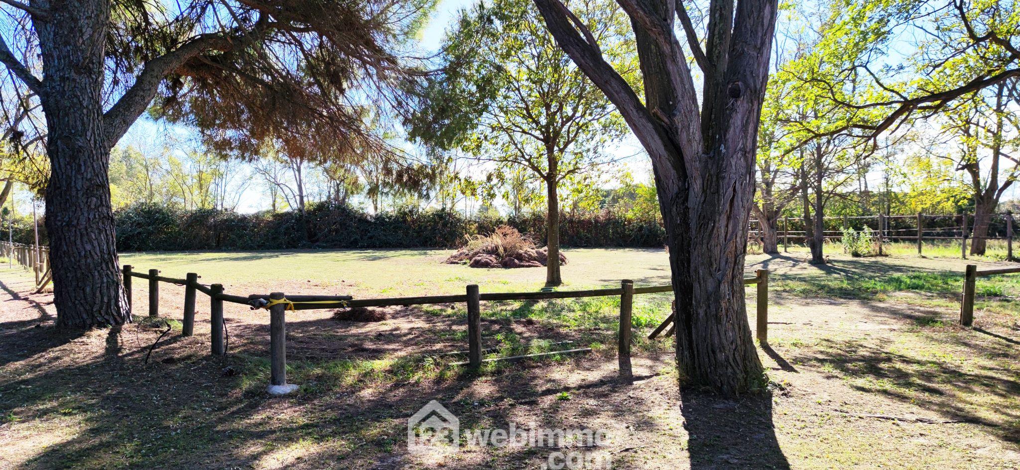 Photo Mas - 240m² - Vauvert image 4/4