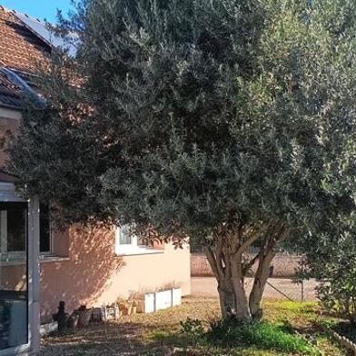 Maison 4 pièces 295000 €