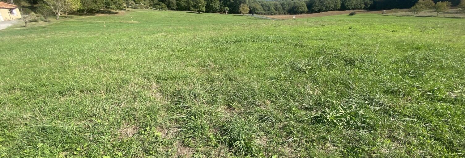 Terrain  2000 m² à vendre à Domme (24250)