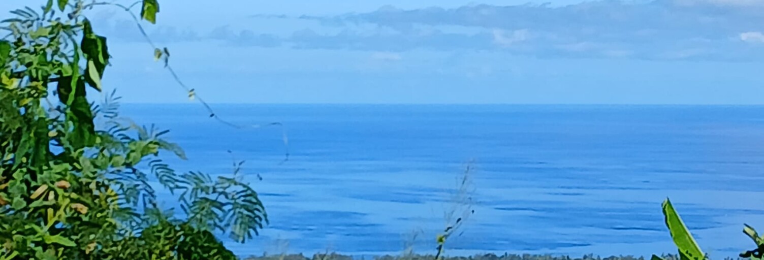 Terrain  450 m² à vendre à Saint-Paul (97411)