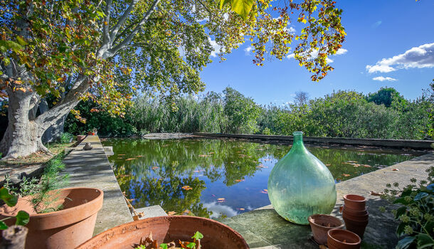 Propri&eacute;t&eacute; 10 pièces  à vendre Velaux 13880