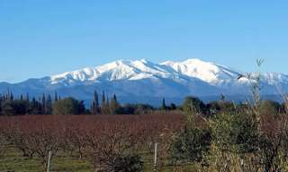 Maison 5 Pièces 154 m² à vendre à Laroque-des-Albères (66740)