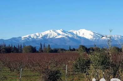 Maison 5 pièces 446000 €