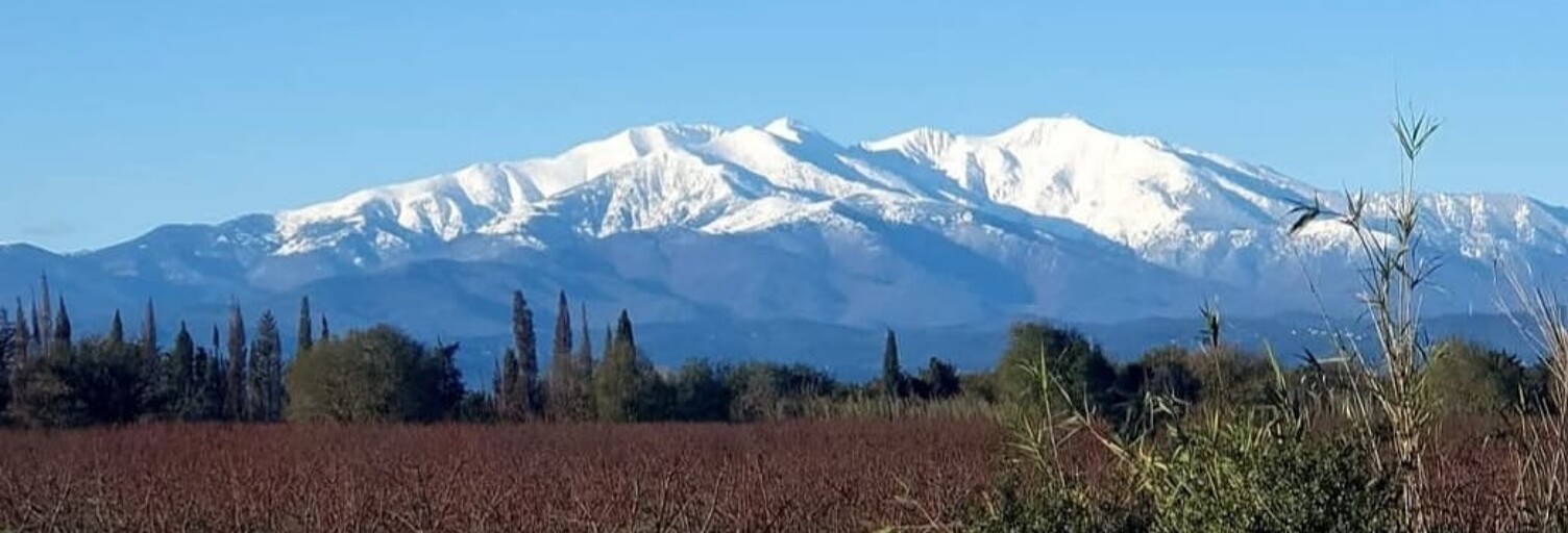 Maison 5 Pièces 154 m² à vendre à Laroque-des-Albères (66740)