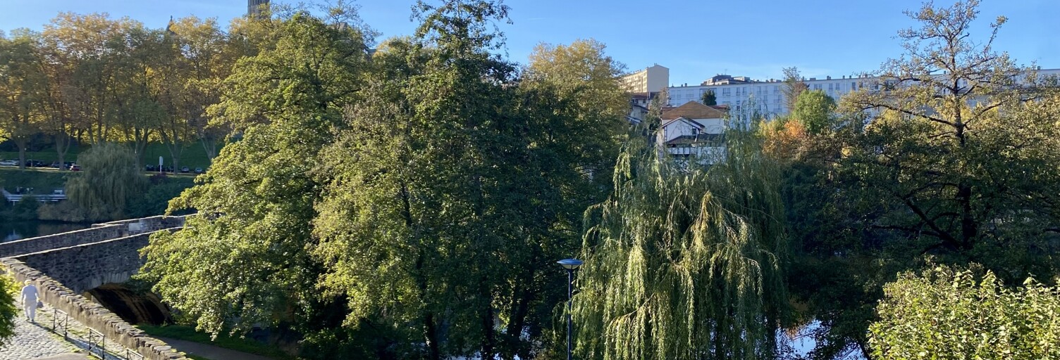 Appartement 2 Pièces 57 m² à vendre à Limoges (87000)