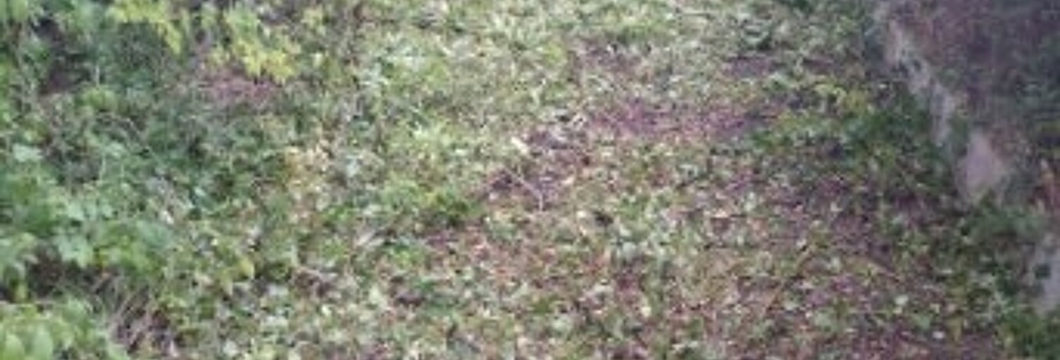 Terrain  829 m² à vendre à Presles (95590)