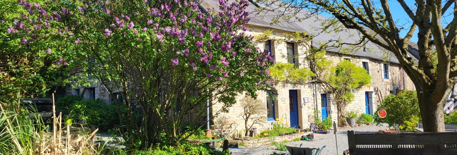 Maison 11 Pièces 287 m² à vendre à La Grée-Saint-Laurent (56120)