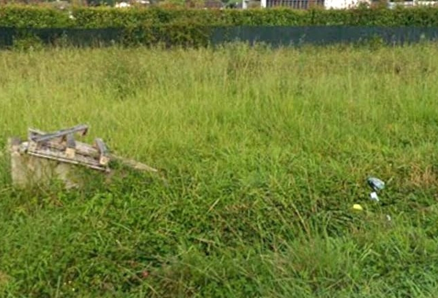 Terrain — photo 1
