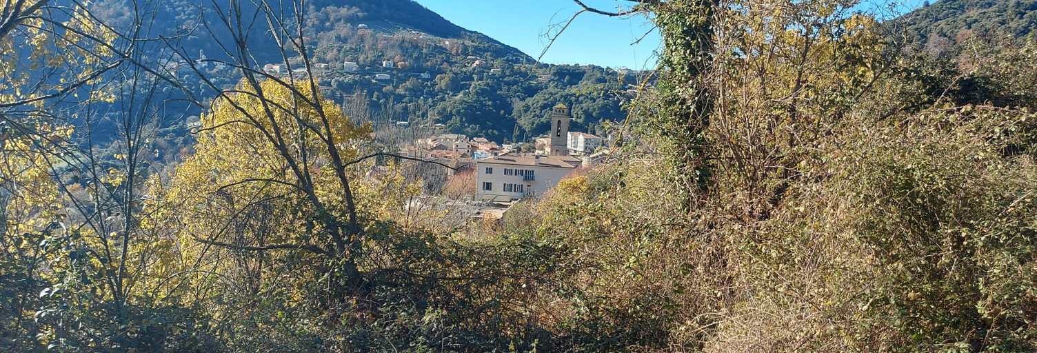 Terrain  2350 m² à vendre à Poggiolo (20160)