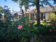À vendre secteur de Vic Fezensac: Superbe vue sur les Pyrénées pour cette propriété magnifiquement entretenue avec piscine, chauffage au sol et panneaux photovoltaïques. Jardin arboré et dépendance — photo 3