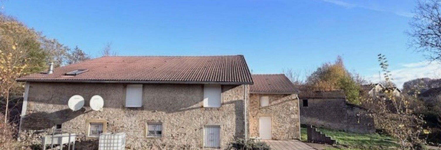 Maison 10 Pièces 326 m² à vendre à Dommartin-aux-Bois (88390)