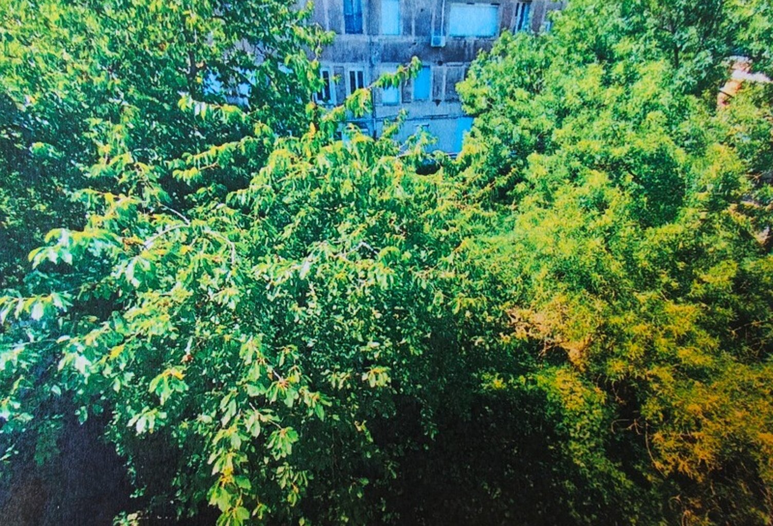 Appartement et local — photo 1