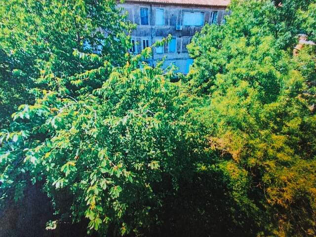 Appartement et local — photo du bien