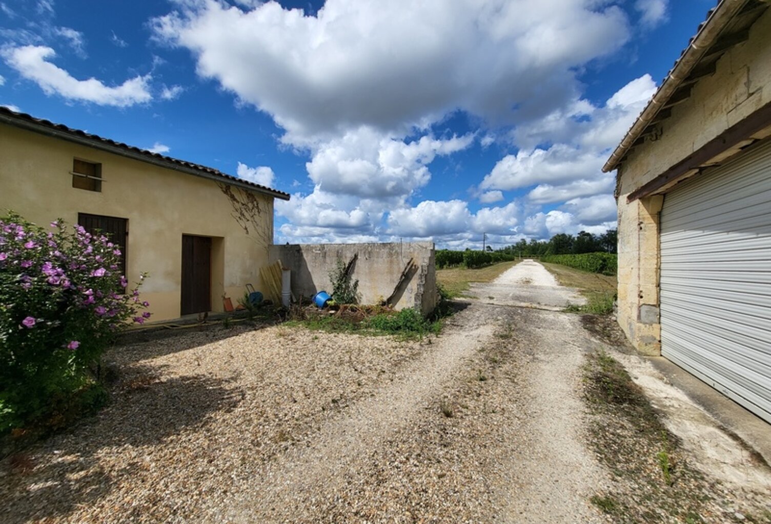 Propriete à vendre 2 habitations 800 m2 de bâtis PUISSEGUIN (33) — photo 1