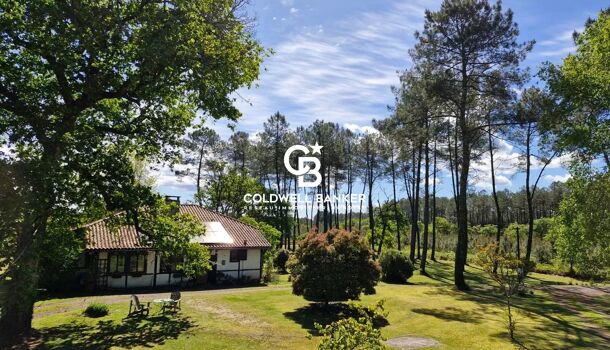 Propri&eacute;t&eacute; 7 pièces  à vendre Rion-des-Landes 40370