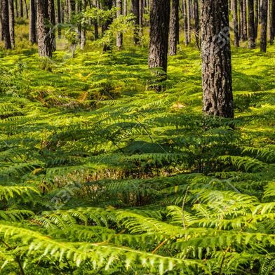 Maison 6 pièces 780000 €