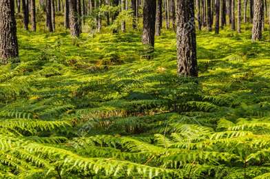 Maison 6 pièces 780000 €