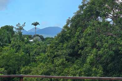 Maison 5 pièces 895000 €