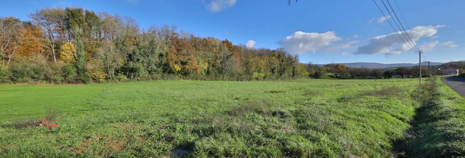 Terrain  5500 m² à vendre à Coligny (01270)