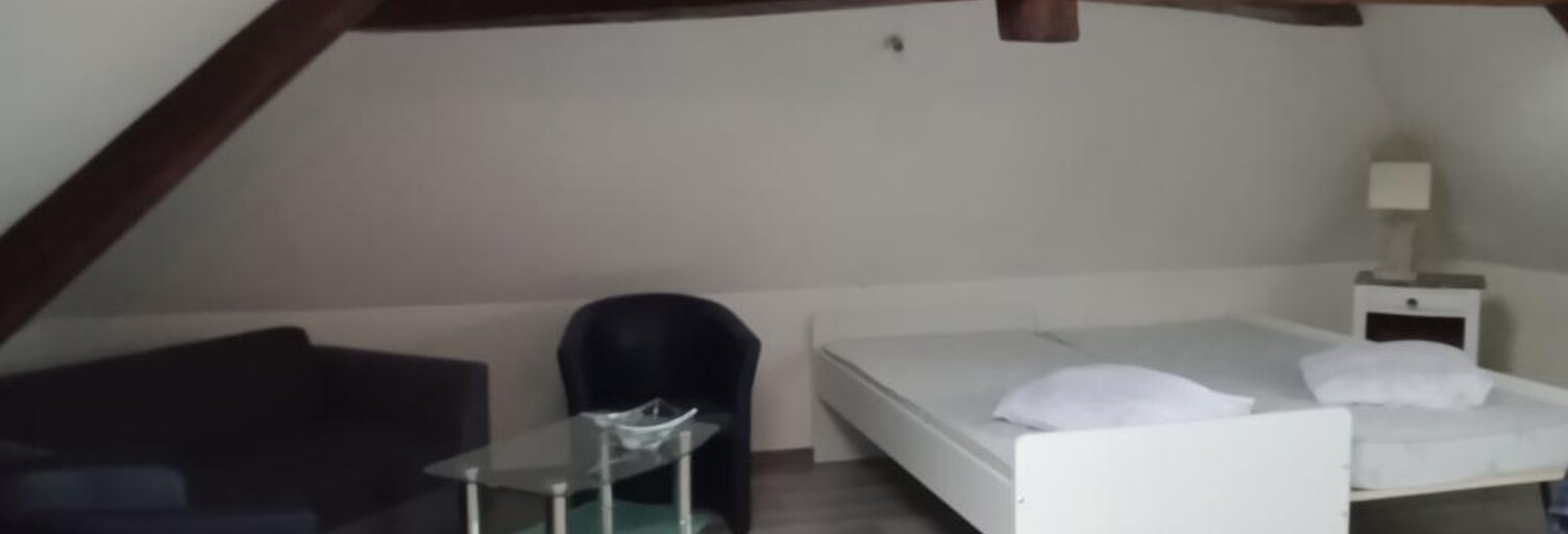 Appartement 1 Pièce 38 m² à louer à Vineuil (41350)