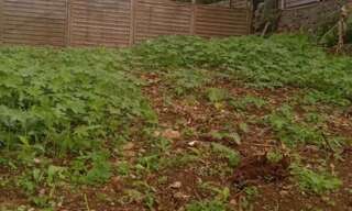 Terrain  700 m² à vendre à Saint-Denis (97490)