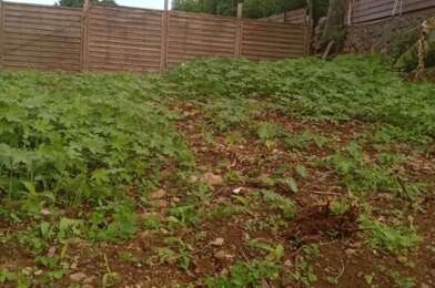 Terrain  350000 €