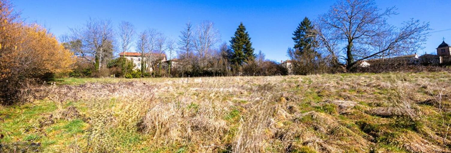 Terrain  1254 m² à vendre à Sainte-Agathe-en-Donzy (42510)