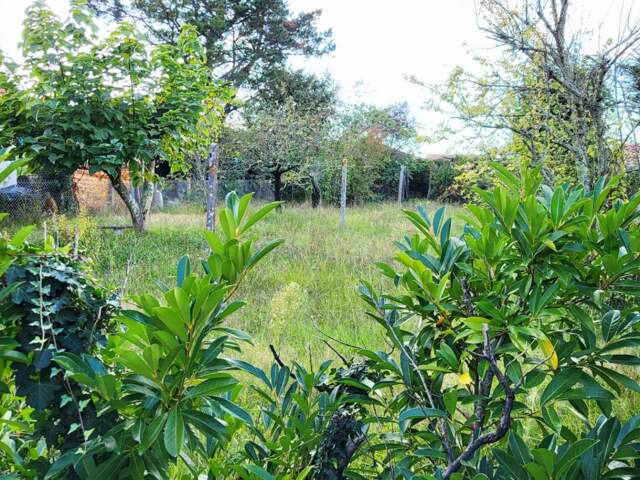 BASSIN D ARCACHON - 33470 - TERRAIN 920 M² ENV — photo du bien
