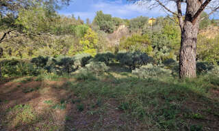 Terrain  4250 m² à vendre à Fontès (34320)