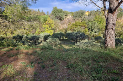 Terrain  195000 €