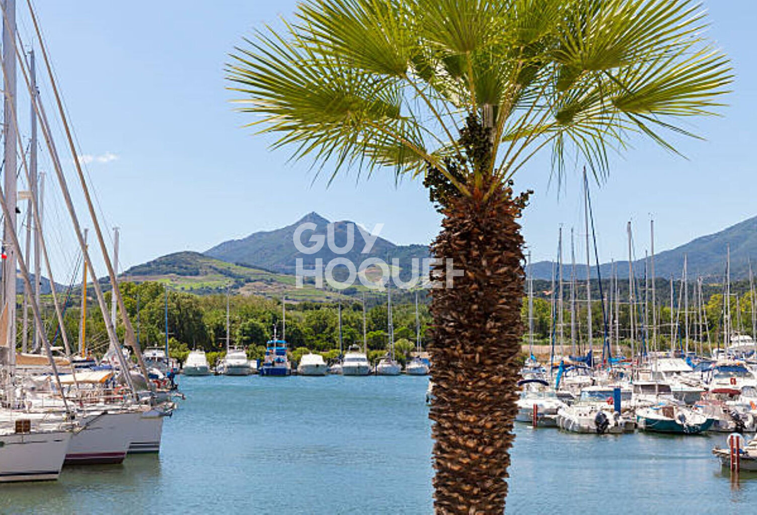 RESTAURANT 187m2 EMPLACEMENT N°1 ARGELES SUR MER — photo 1