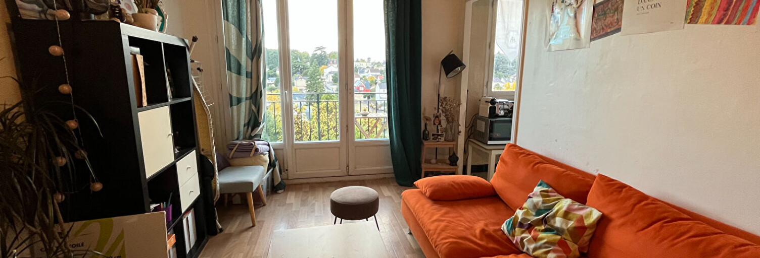 Appartement 1 Pièce 26 m² à vendre à Saint-Cyr-sur-Loire (37540)
