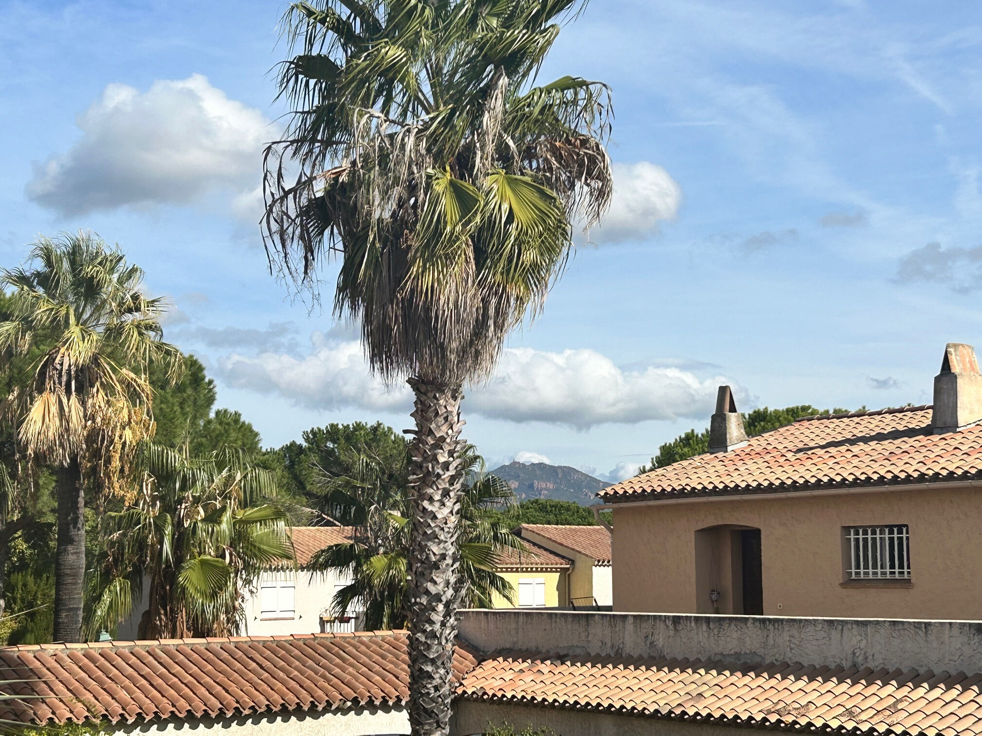 Appartement  T2 à vendre Fréjus 83600