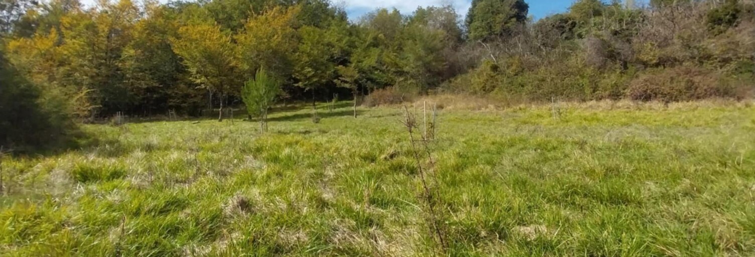 Terrain  4600 m² à vendre à Caucalières (81200)