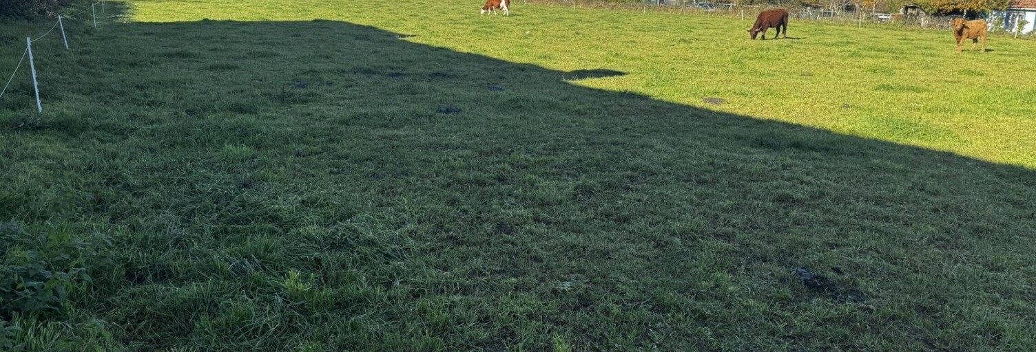 Terrain   m² à vendre à Saint-Pierre-de-Varennes (71670)