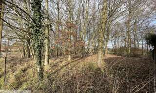 Terrain  2521 m² à vendre à Vendhuile (02420)