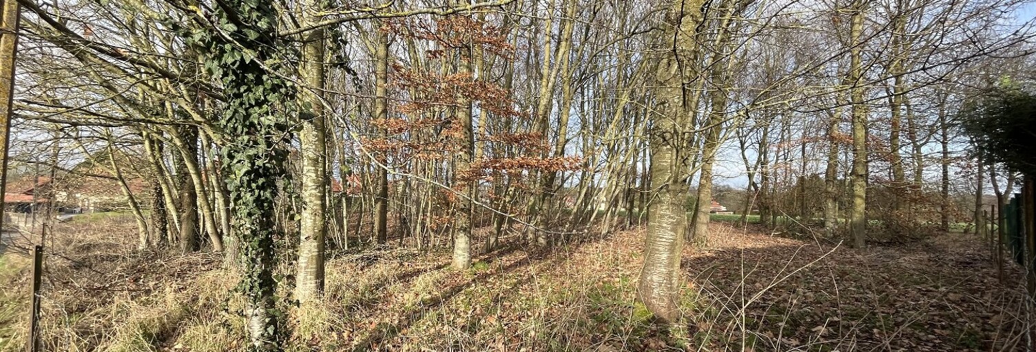 Terrain  2521 m² à vendre à Vendhuile (02420)