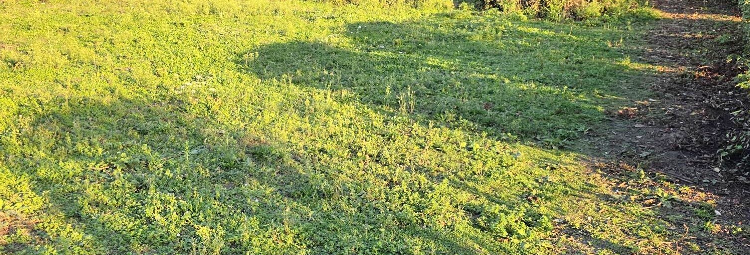 Terrain  1000 m² à vendre à Fécamp (76400)