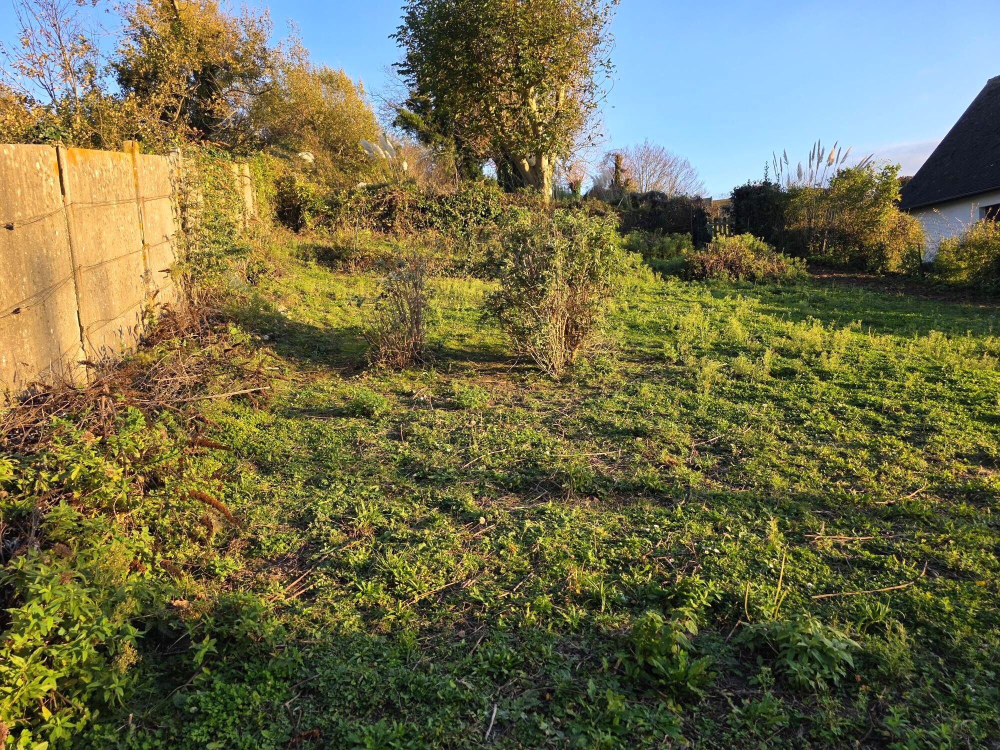 Photo Parcelle de terrain à bâtir à Fécamp avec vue dégagée image 2/2