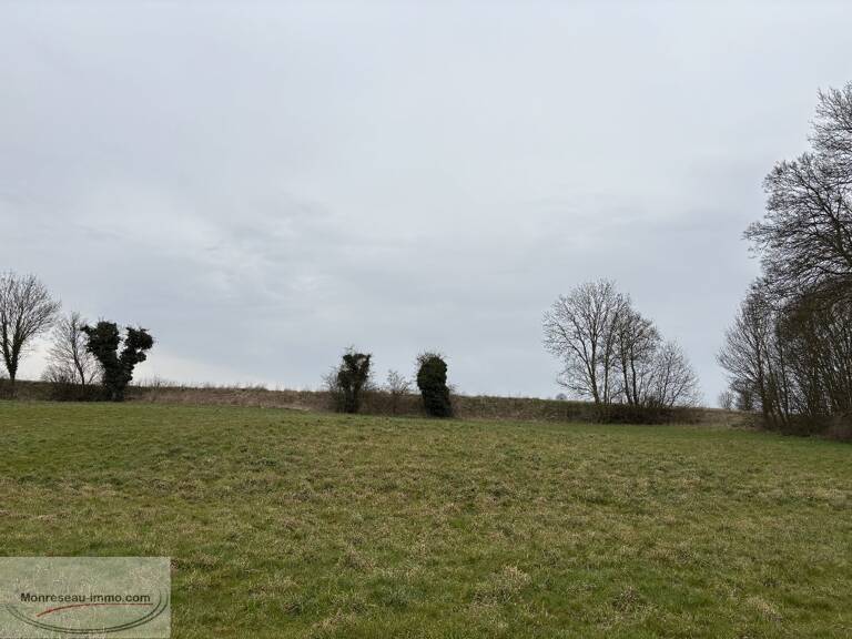 Terrain — photo 1